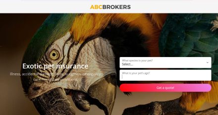 Pet insurance from quote to subscription in 60 seconds